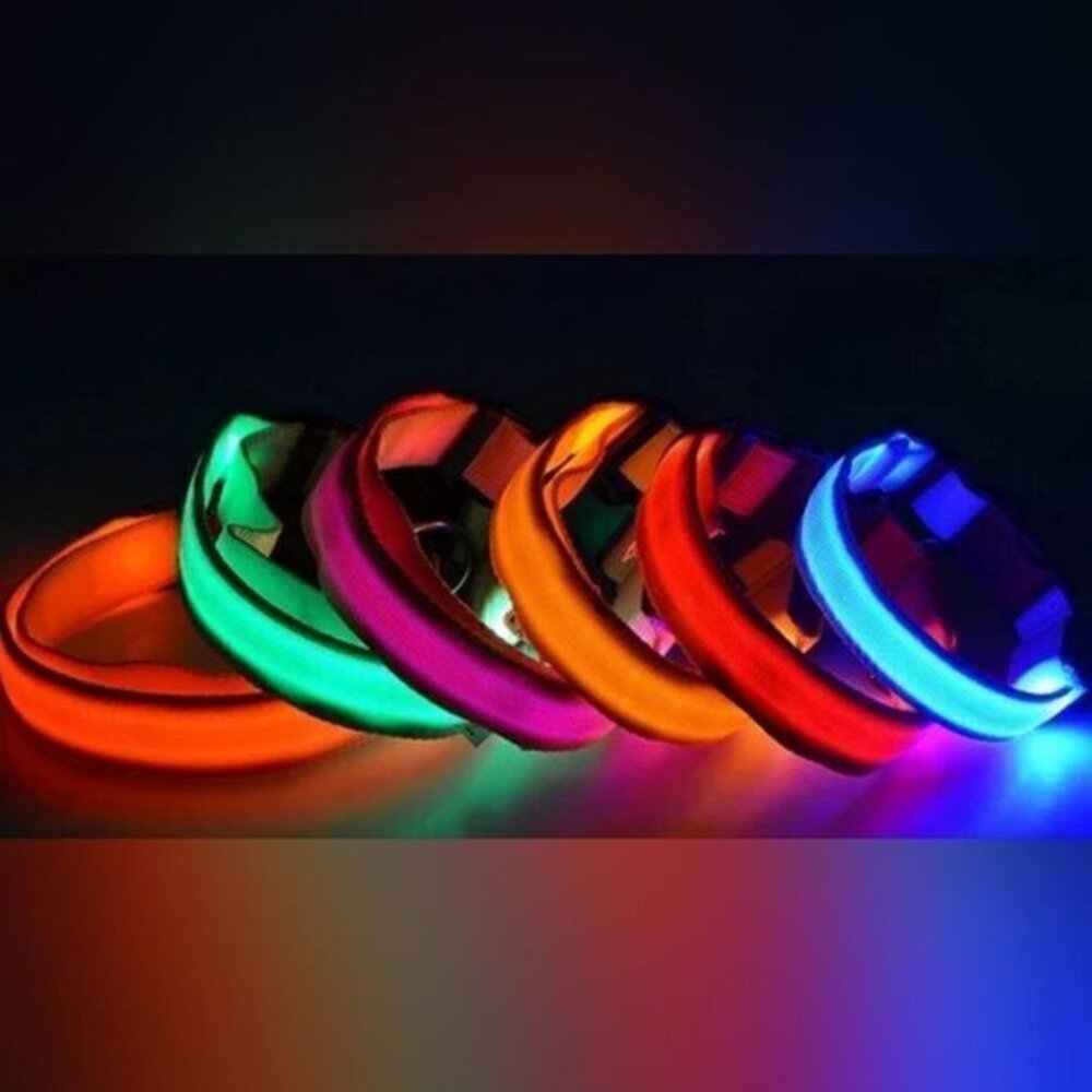 LED Dog Collar USB Charging Saftey Nightlight Flashing 3 Modes Pink Or Green NWT